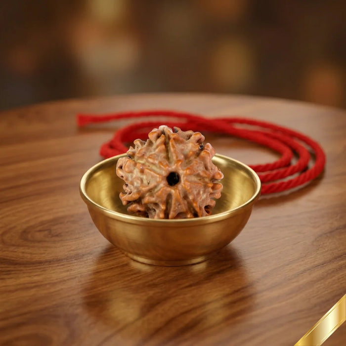 Rudraksha